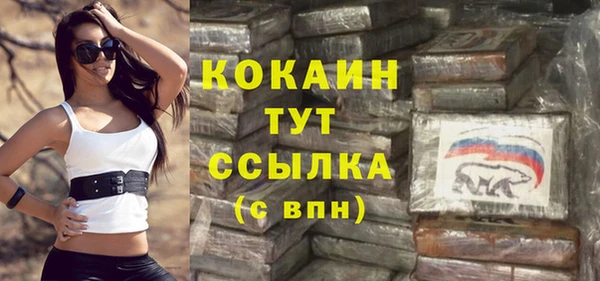 ешки Арсеньев