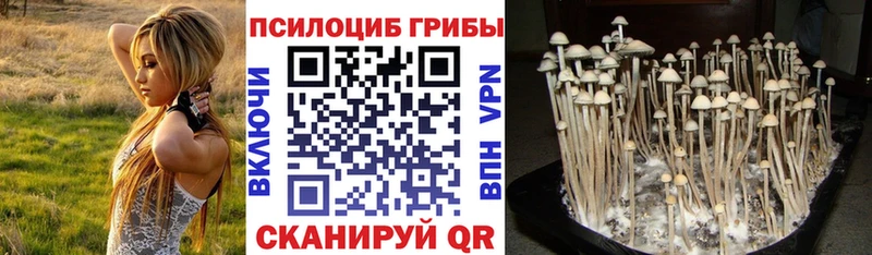 Псилоцибиновые грибы Magic Shrooms  Мончегорск 